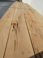 Pecky Cypress